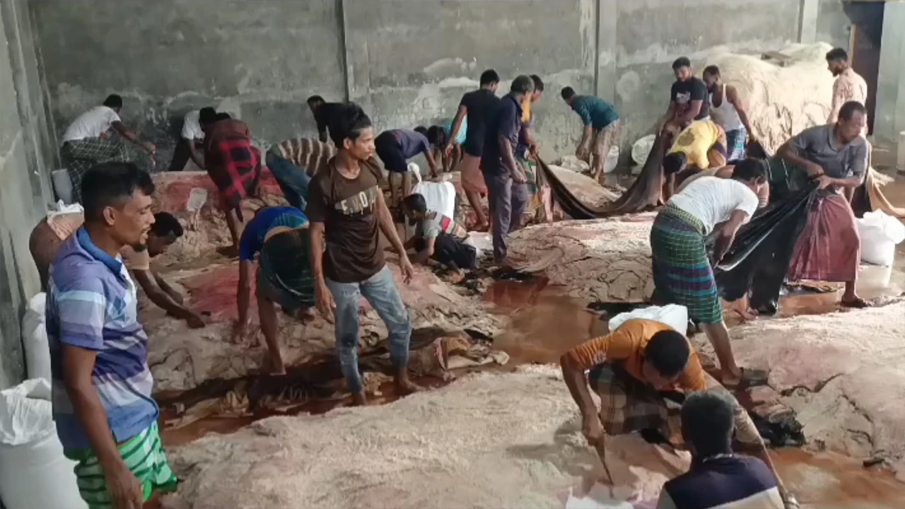 ন্যায্যমূল্য না পেয়ে বরিশালে চামড়া ব্যবসায়ীদের ক্ষোভ