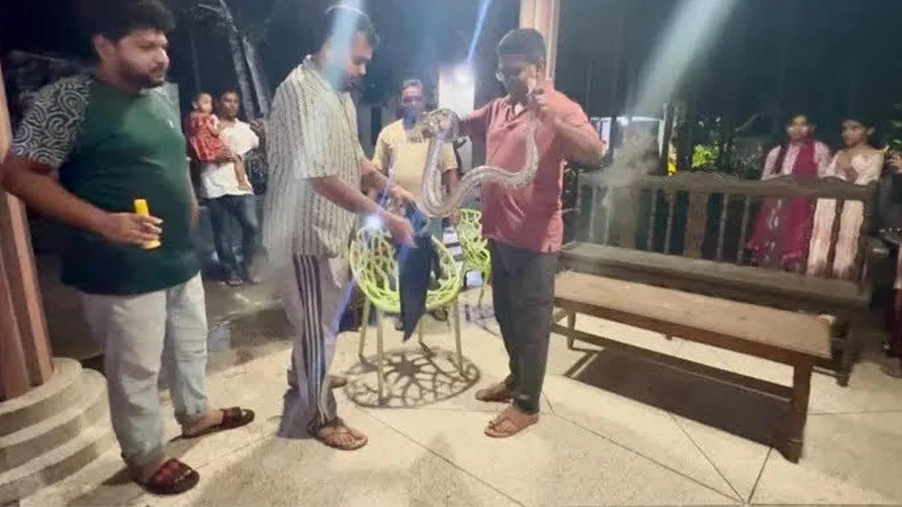 প্রবাসীর বাসা থেকে অজগর উদ্ধার
