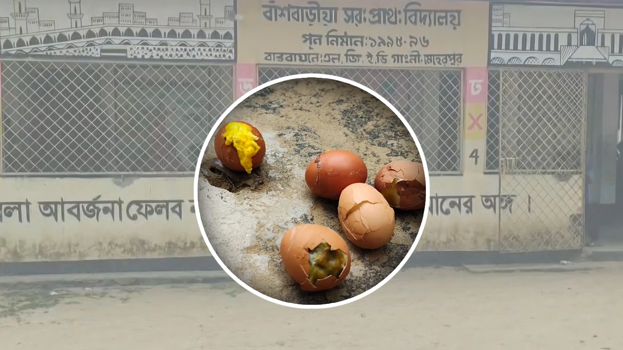 স্কুল ফিডিংয়ে নিম্নমানের ডিম, বিতরণের আগেই বদল