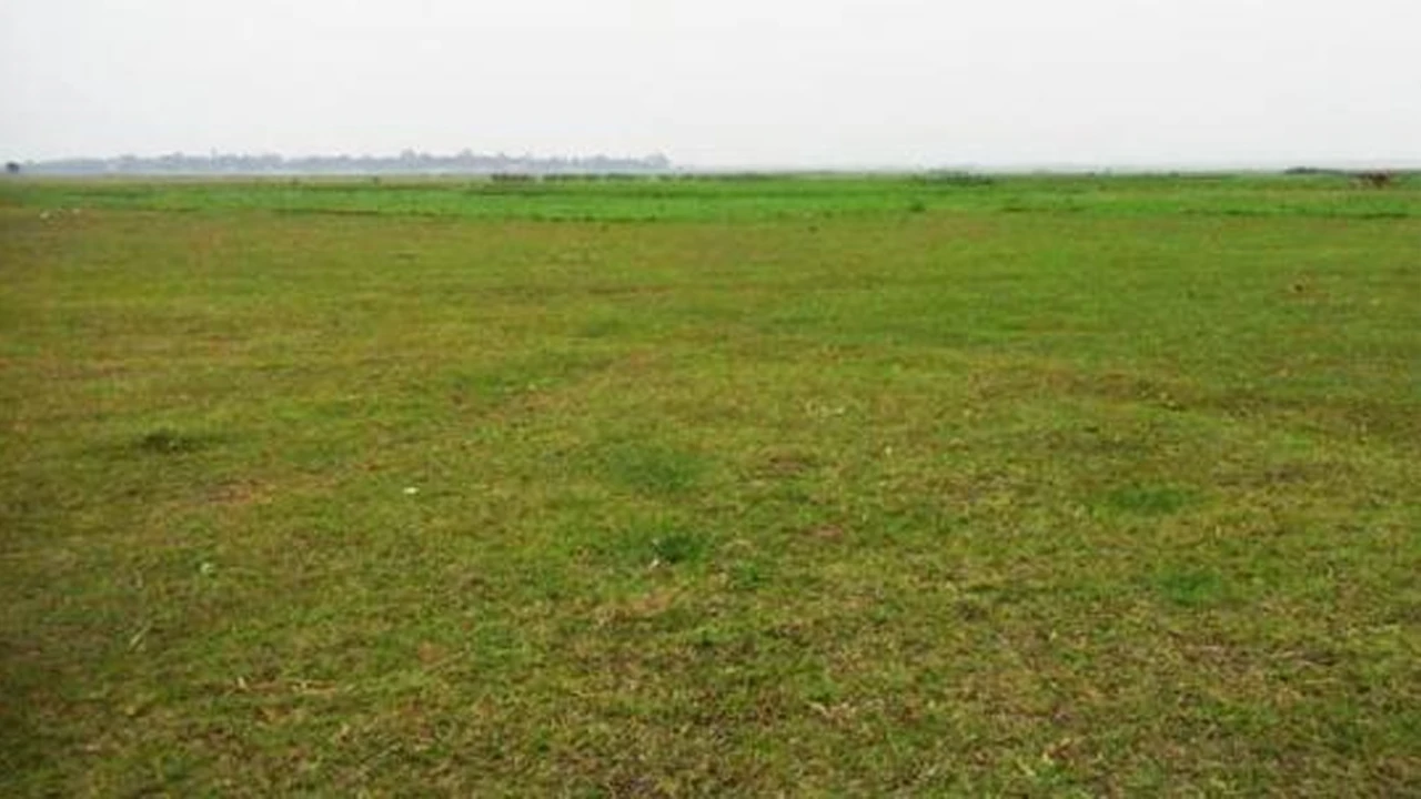 সিলেটে পতিত জমিতে বাড়ছে আবাদ