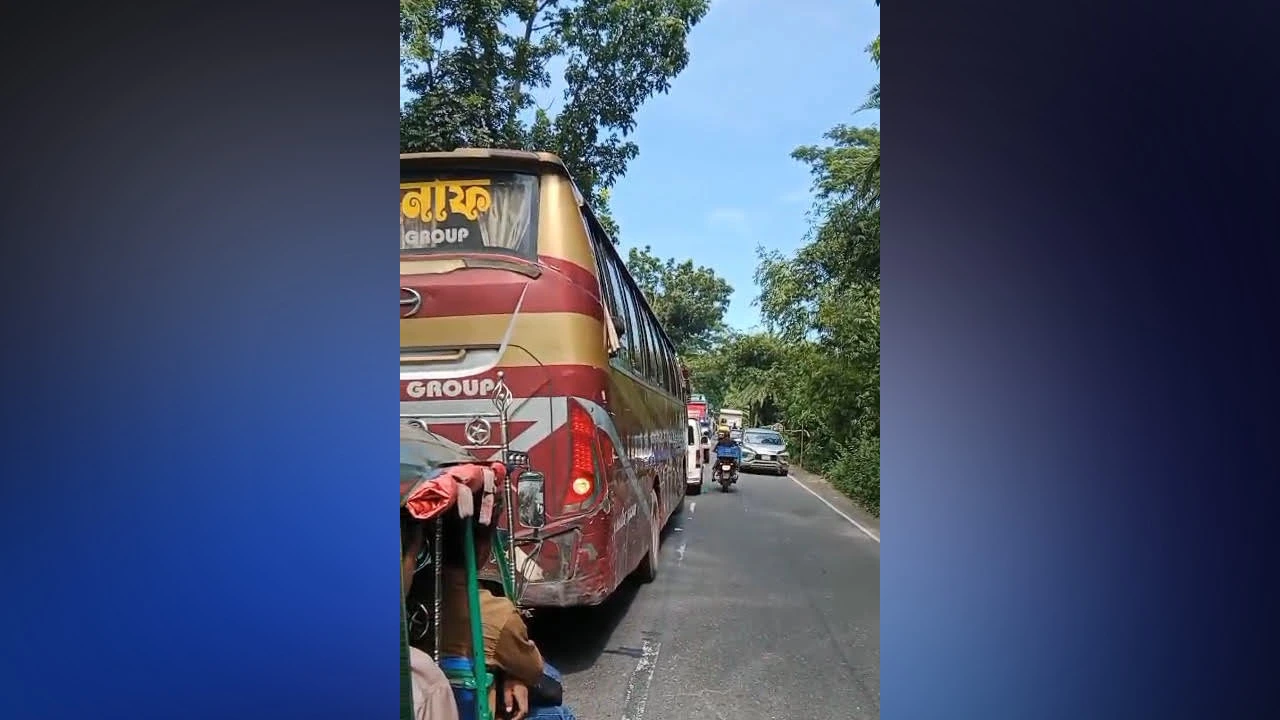 ডাক্তার দেখাতে গিয়ে সড়কে প্রাণ গেল কিশোরীর, মা-বোনসহ আহত ৪