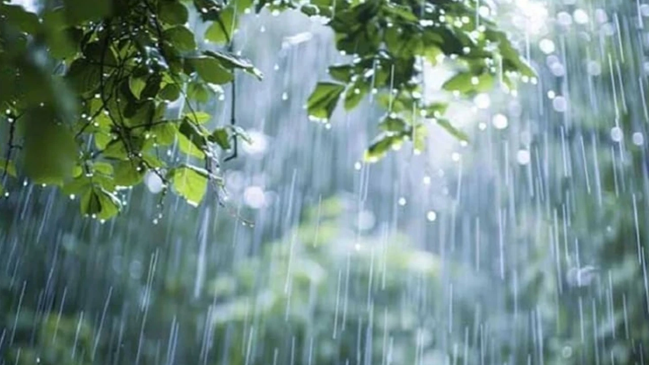 দেশের আট বিভাগে বৃষ্টির সম্ভাবনা