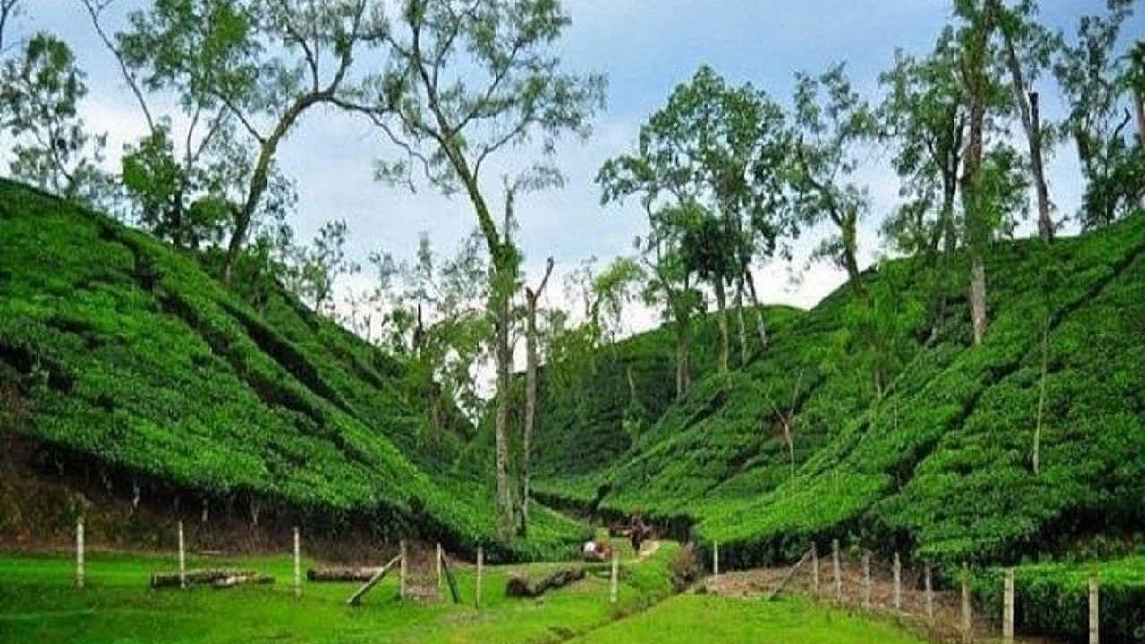 পর্যটন জেলা ঘোষণার ১৮ বছর গেজেট হয়নি মৌলভীবাজারের