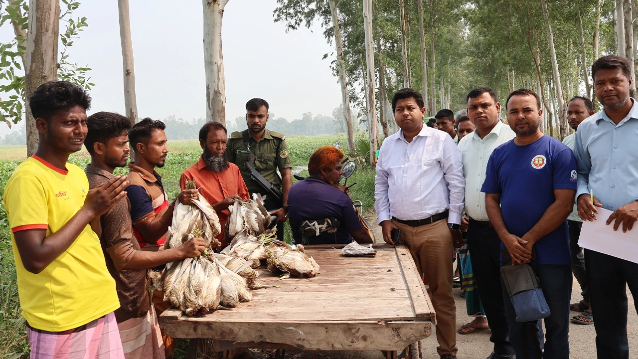 সিংড়ায় ৫০ বকপাখি হত্যায় ৩ শিকারির কারাদণ্ড