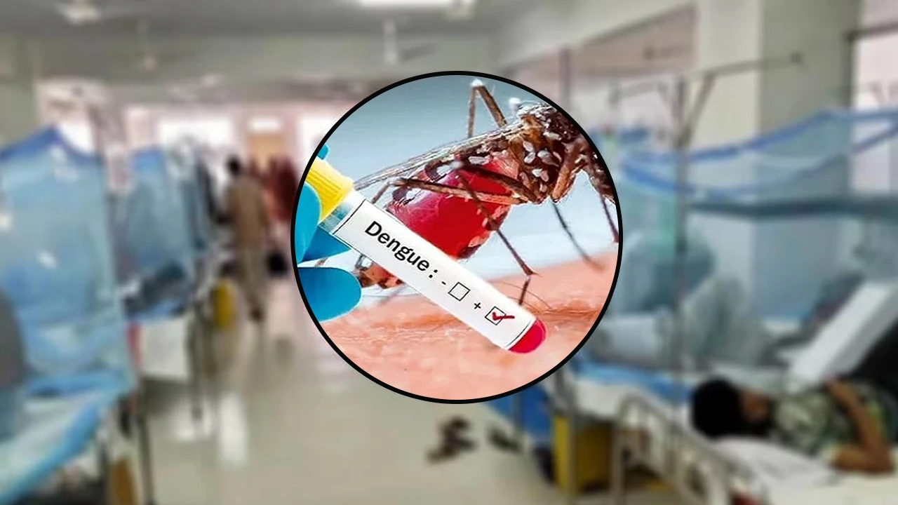 ২৪ ঘণ্টায় ডেঙ্গুতে ৩ জনের মৃত্যু