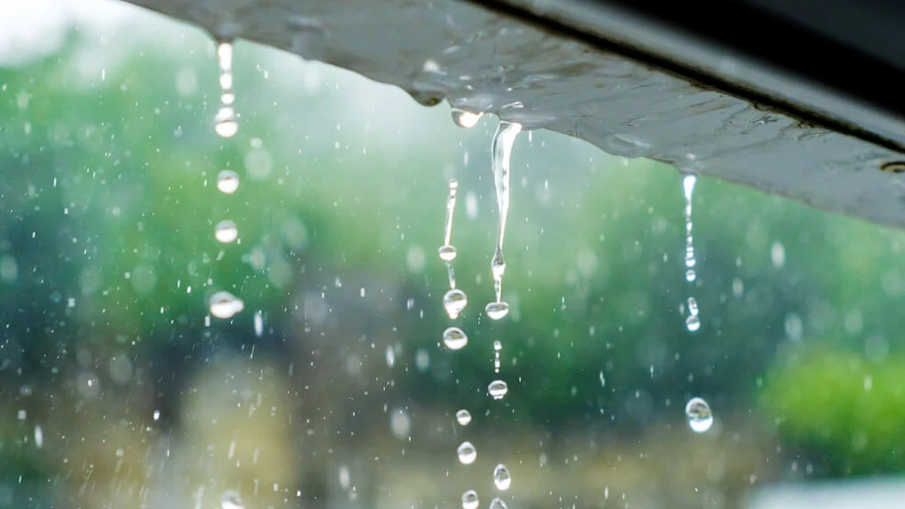 ঈদের দিনসহ আগামী ৫ দিনই হতে পারে বৃষ্টি
