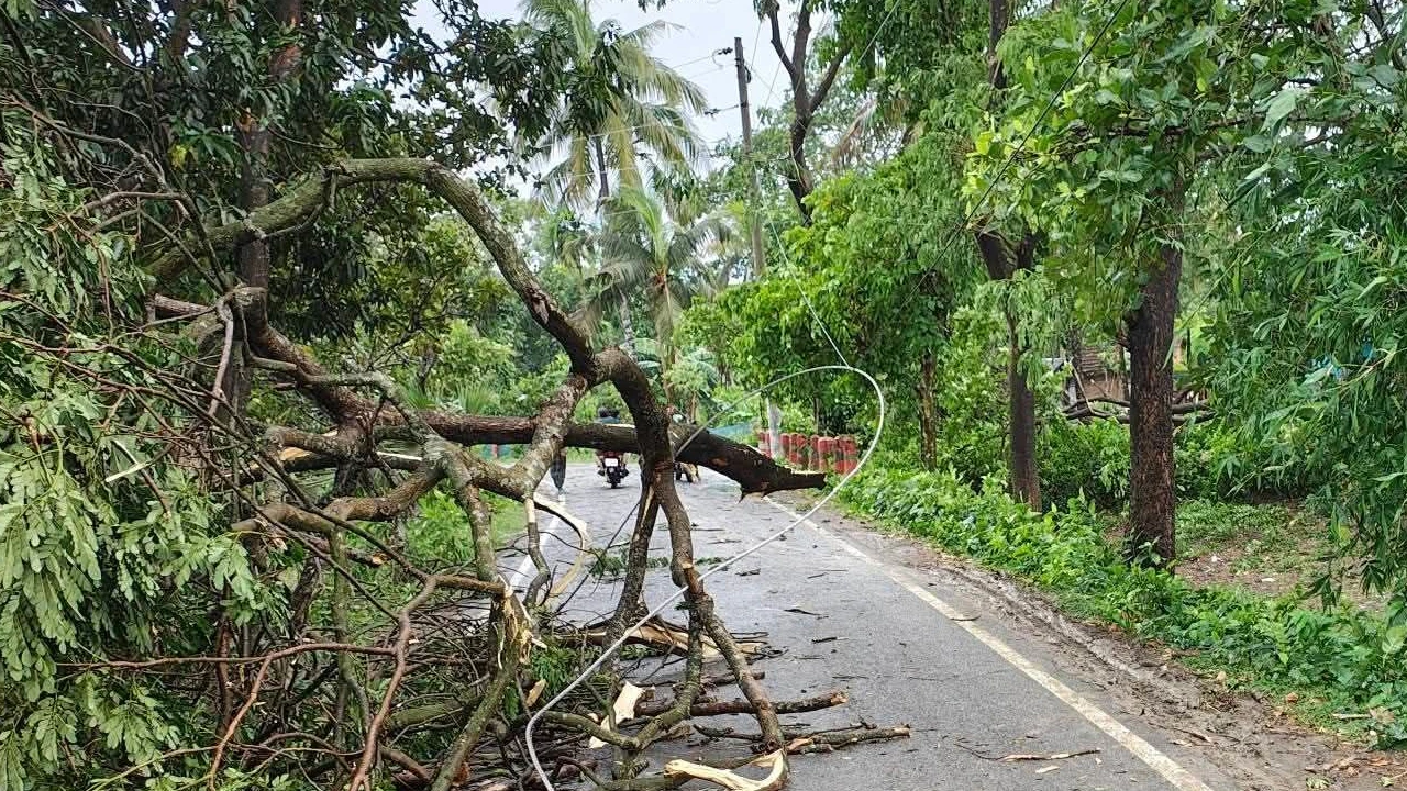 সাতক্ষীরায় কালবৈশাখীর তাণ্ডব: শিশুর মৃত্যু, বিদ্যুৎহীন ২০ হাজার গ্রাহক
