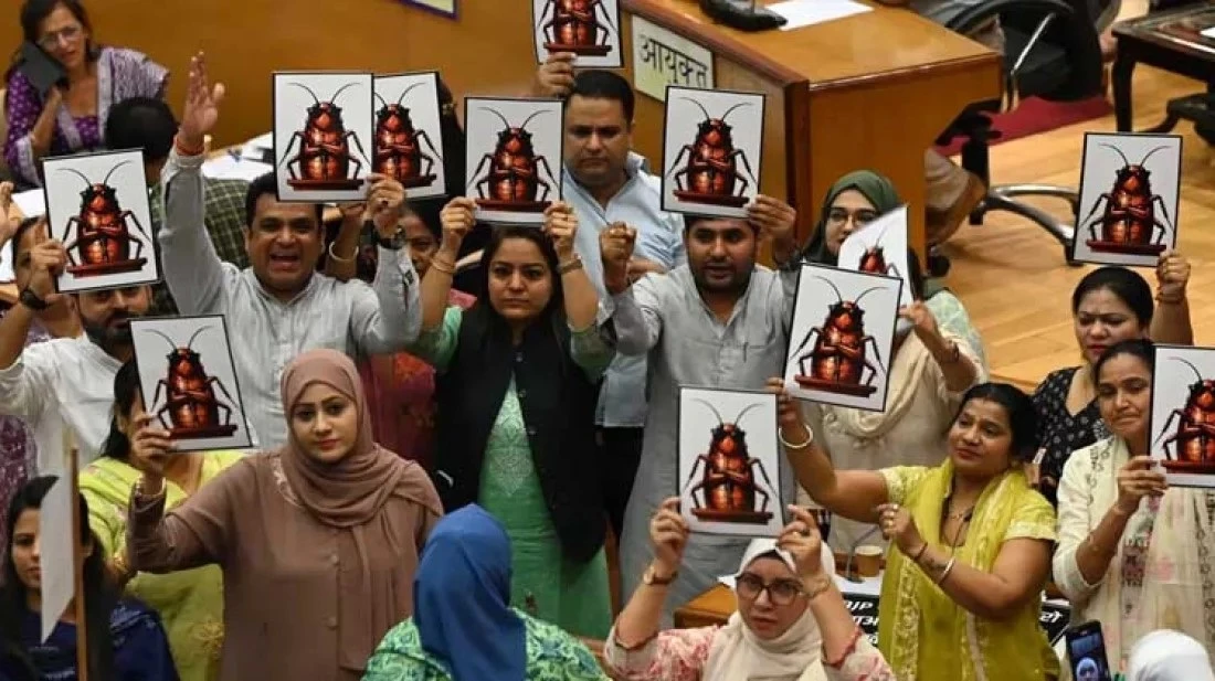 ভারতের দ্রুত ছড়িয়ে পড়ছে ‘ককরোচ পার্টি’র বিক্ষোভ