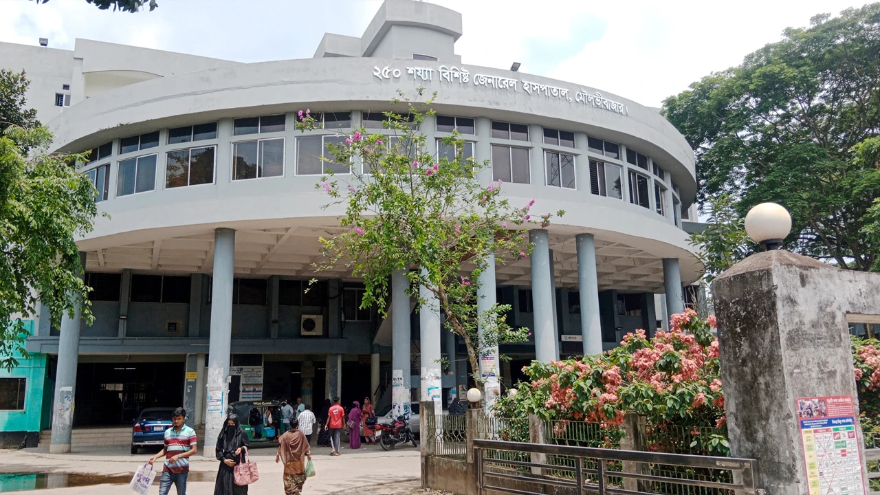 মৌলভীবাজারে বিদ্যুৎস্পৃষ্টে ২ যুবকের মৃত্যু