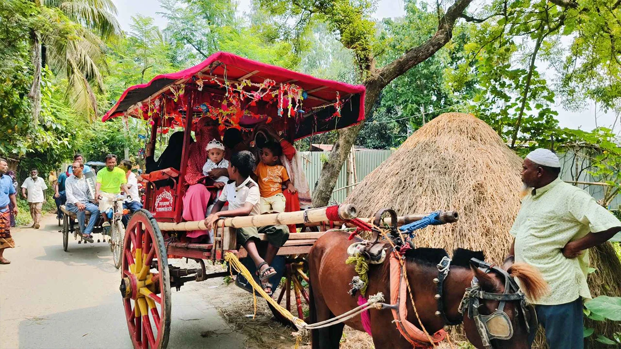 নাতি জন্মানোর আনন্দে ঘোড়ার গাড়িতে মিষ্টি বিলালেন নানা