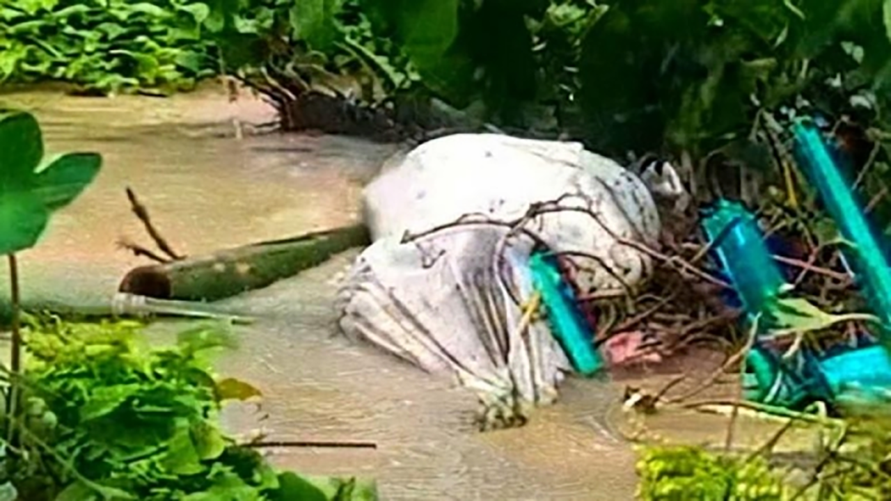 সাতকানিয়ায় পানির স্রোতে কবরস্থান থেকে ভেসে যাচ্ছে মরদেহ!