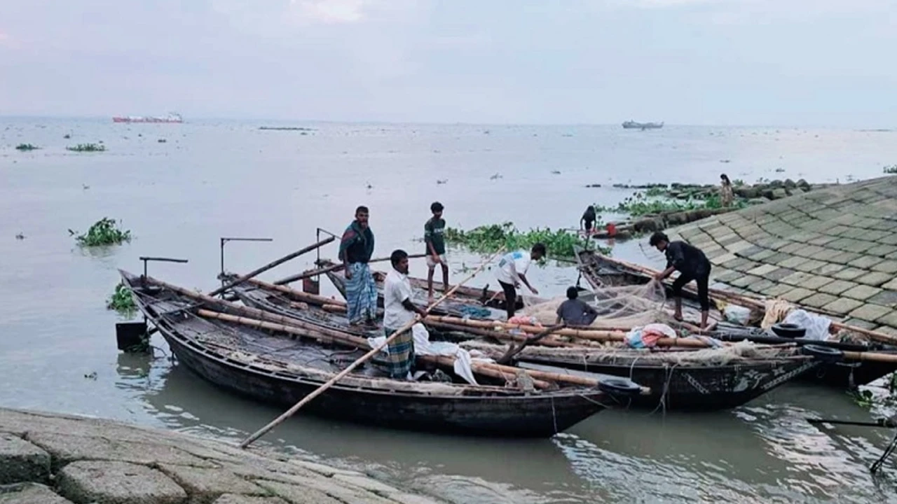 পদ্মা-মেঘনায় কমছে ইলিশের উৎপাদন