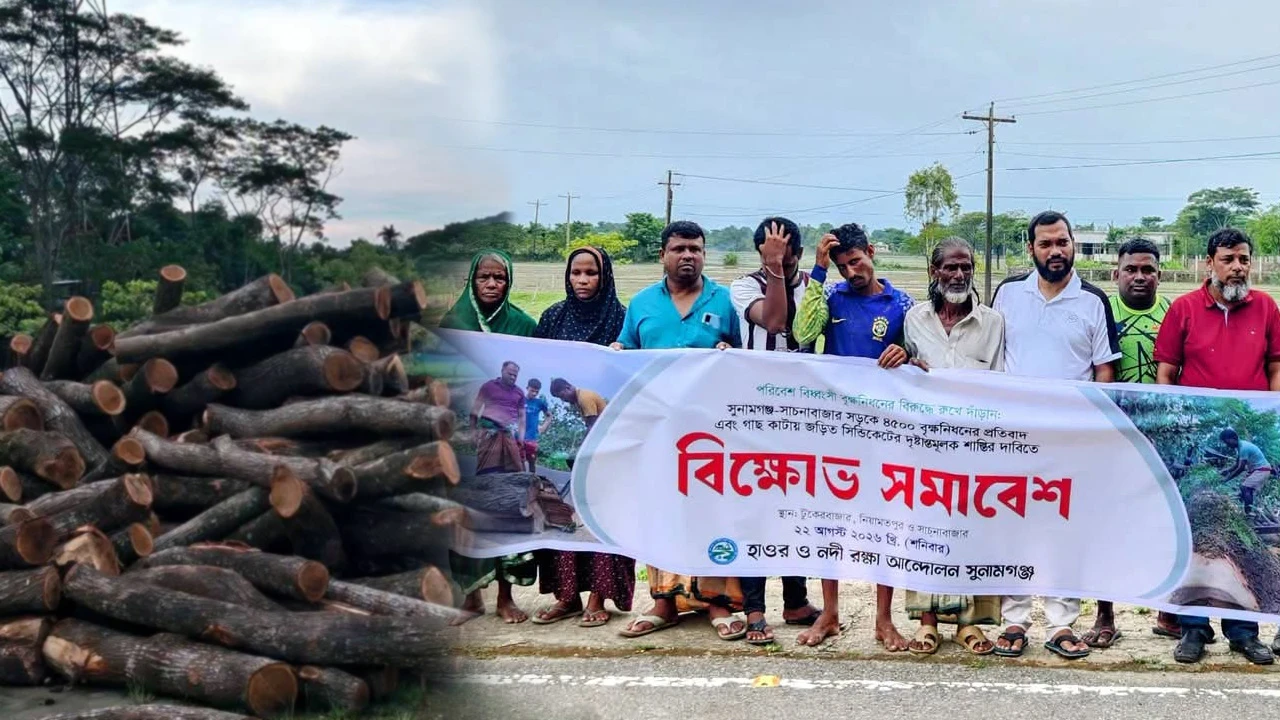 সুনামগঞ্জে সড়কের ৪৫০০ গাছ কাটায় বিক্ষোভ-হুঁশিয়ারি