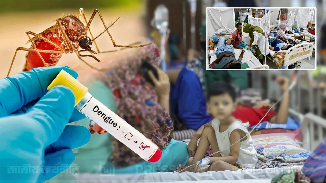 ডেঙ্গুতে রেকর্ড ৯ মৃত্যু, হাসপাতালে ১৫৭১