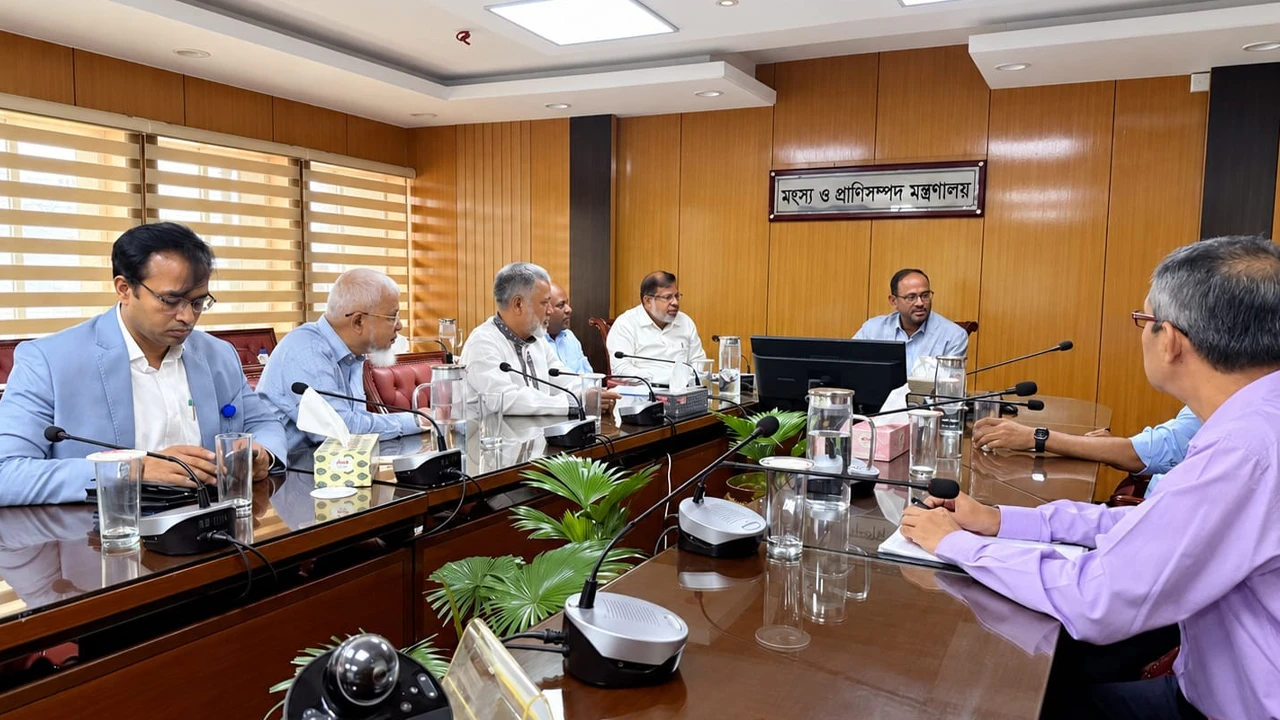 ডিম-মাংসের উৎপাদন বাড়িয়ে দাম যৌক্তিক পর্যায়ে রাখতে হবে