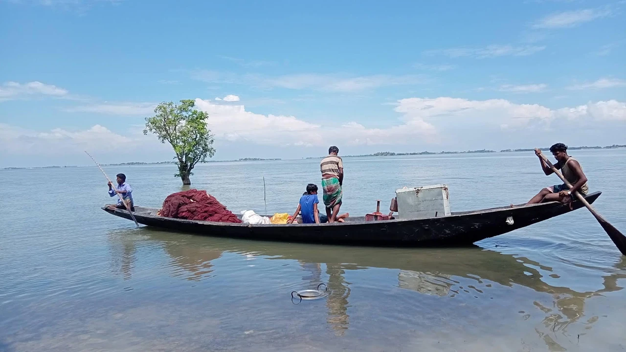 হাওরে অবাধে চায়না দুয়ারীর ব্যবহারে বিলুপ্তির পথে দেশীয় মাছ, হুমকিতে জীববৈচিত্র্য