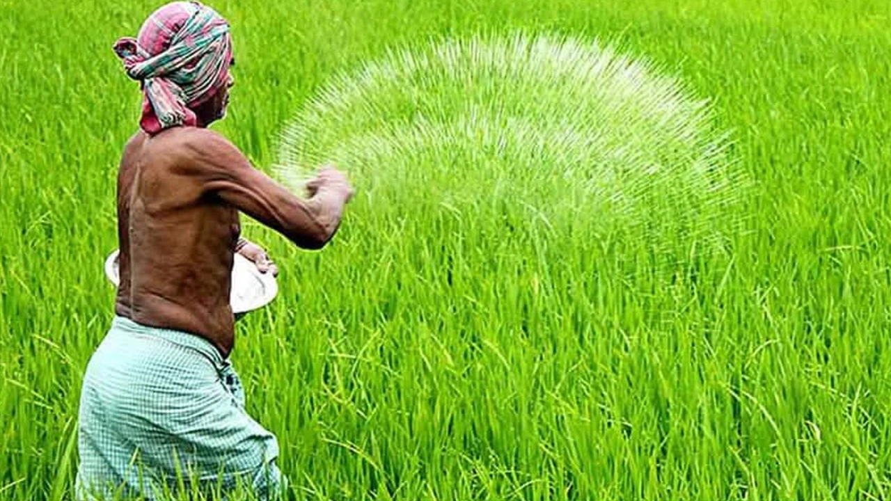 কুড়িগ্রামে অতিরিক্ত ১ হাজার টন ইউরিয়া সার বরাদ্দ