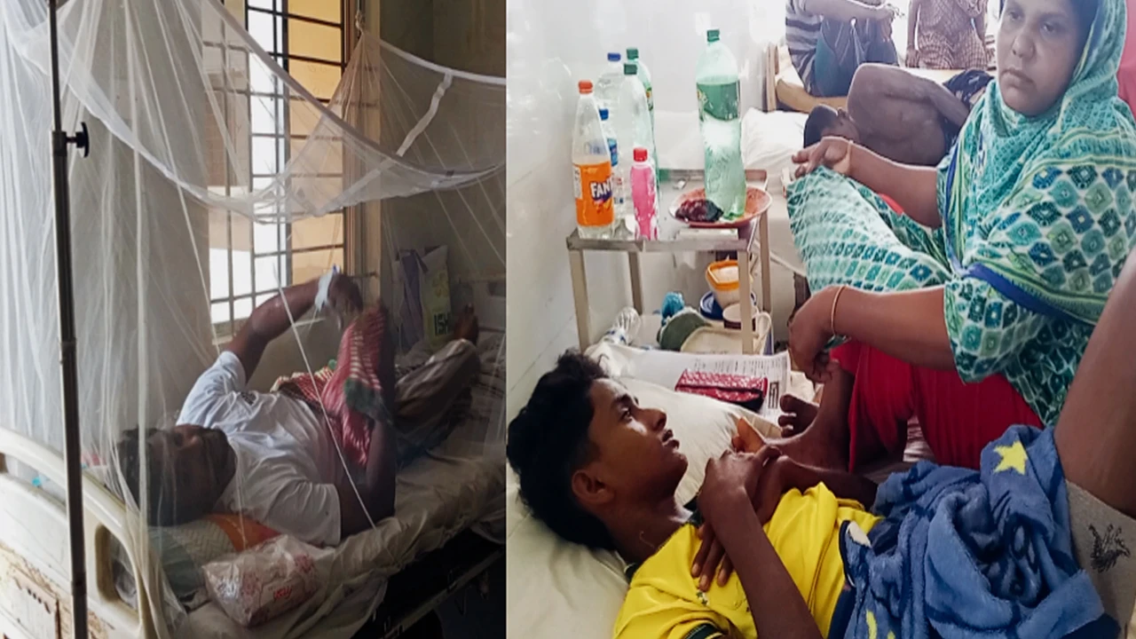 মৌলভীবাজারে আশঙ্কাজনক হারে বাড়ছে হাম-ডেঙ্গুর প্রকোপ