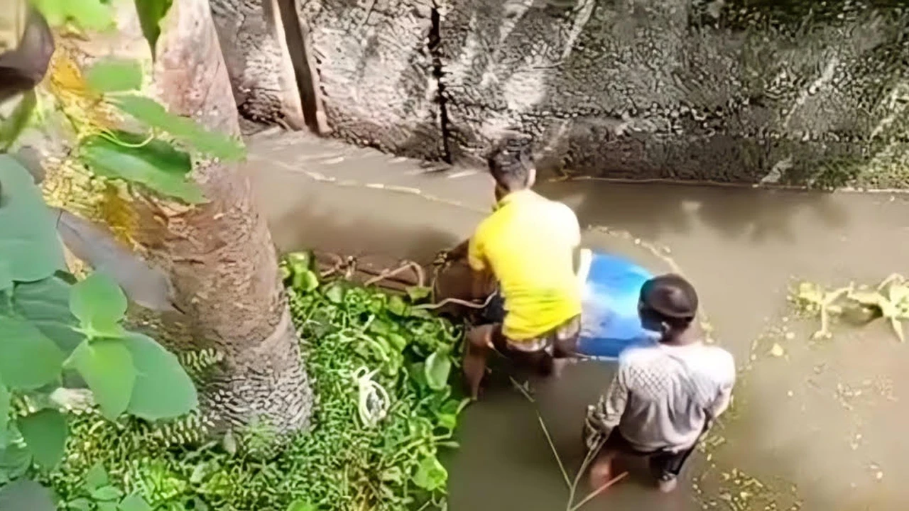 পানিতে ভাসছিল ড্রাম, খুলে মিলল মরদেহ