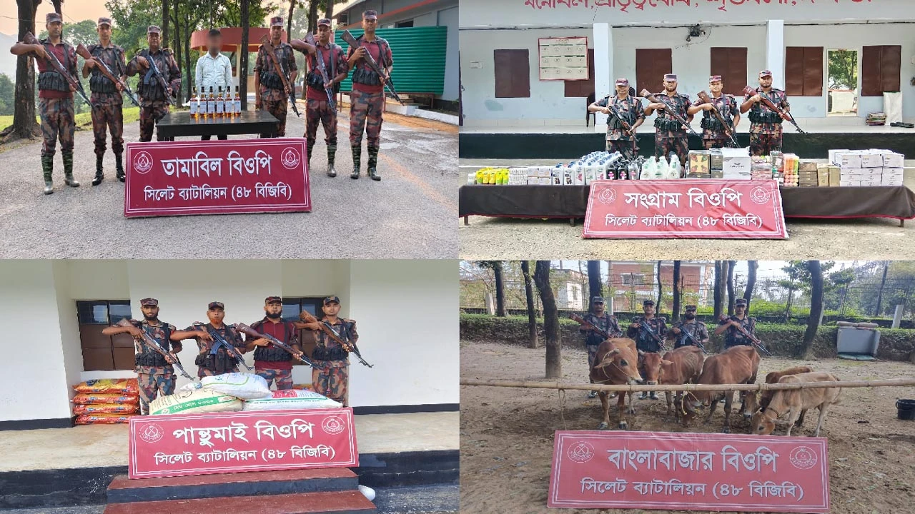 সীমান্তে বিজিবির অভিযানে ২২ লাখ টাকার চোরাচালানি পণ্য জব্দ