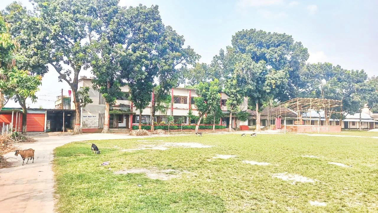 নানা সংকটে ব্যাহত পাঠদান