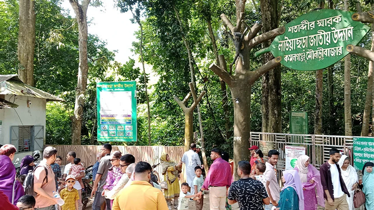 পূজার ছুটিতে লাউয়াছড়ায় পর্যটকের ভিড়