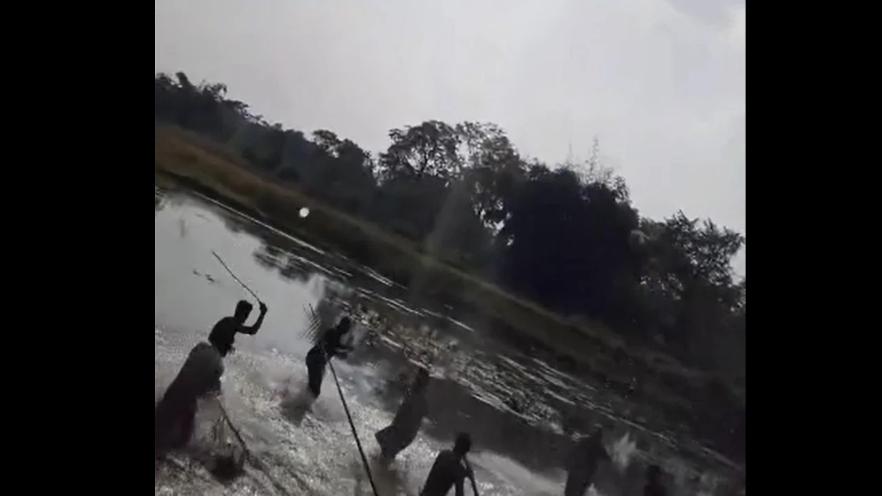 সীমান্তে বিএসএফের অবৈধ অনুপ্রবেশ: গ্রামবাসীর ধাওয়া খেয়ে ককটেল-গুলি
