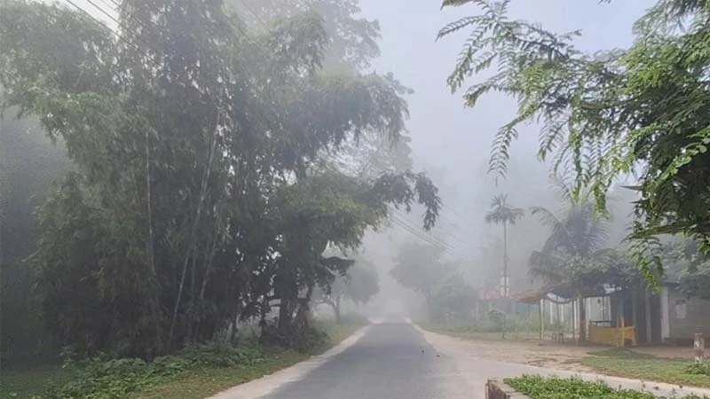 তেঁতুলিয়ায় কুয়াশার দাপট, সর্বনিম্ন তাপমাত্রা ১৫.৪ ডিগ্রি
